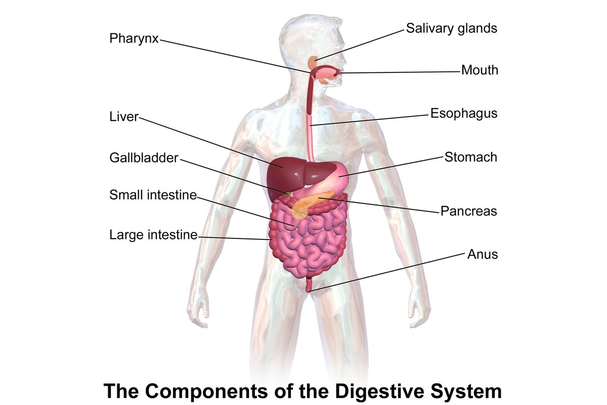 Un assortimento di frutti freschi su un tavolo di legno chiaro.