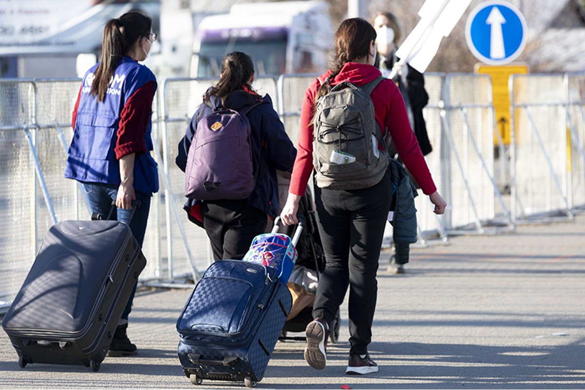 Medico ucraino consulta documenti medici online su un computer.